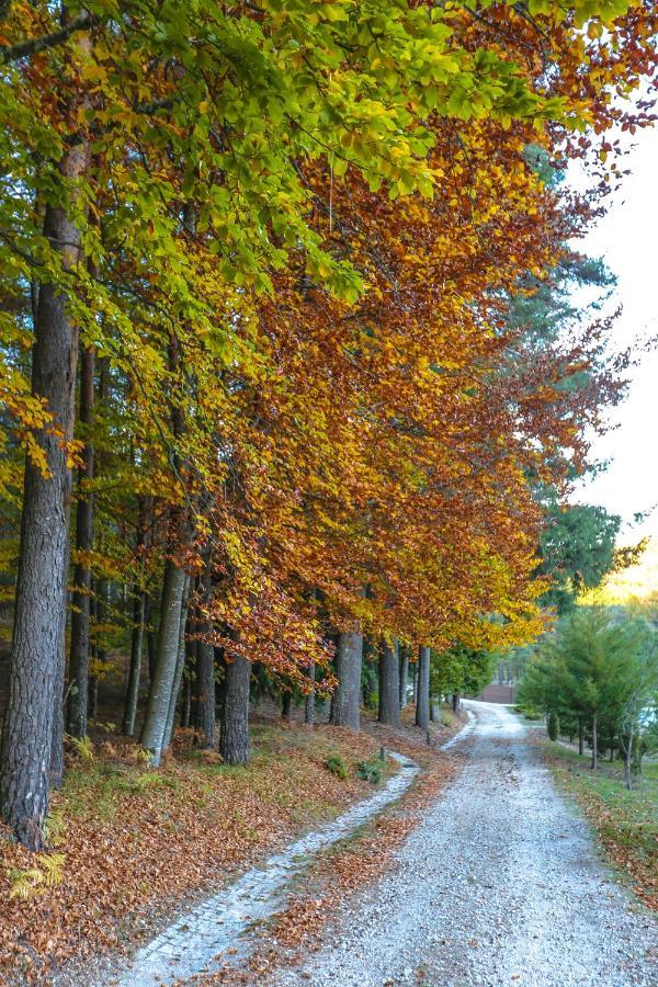 Boticas Parque Natur Houses ภายนอก รูปภาพ