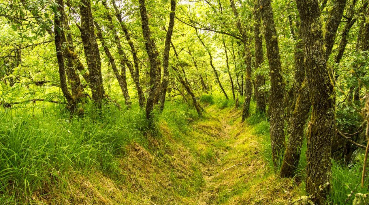Boticas Parque Natur Houses ภายนอก รูปภาพ