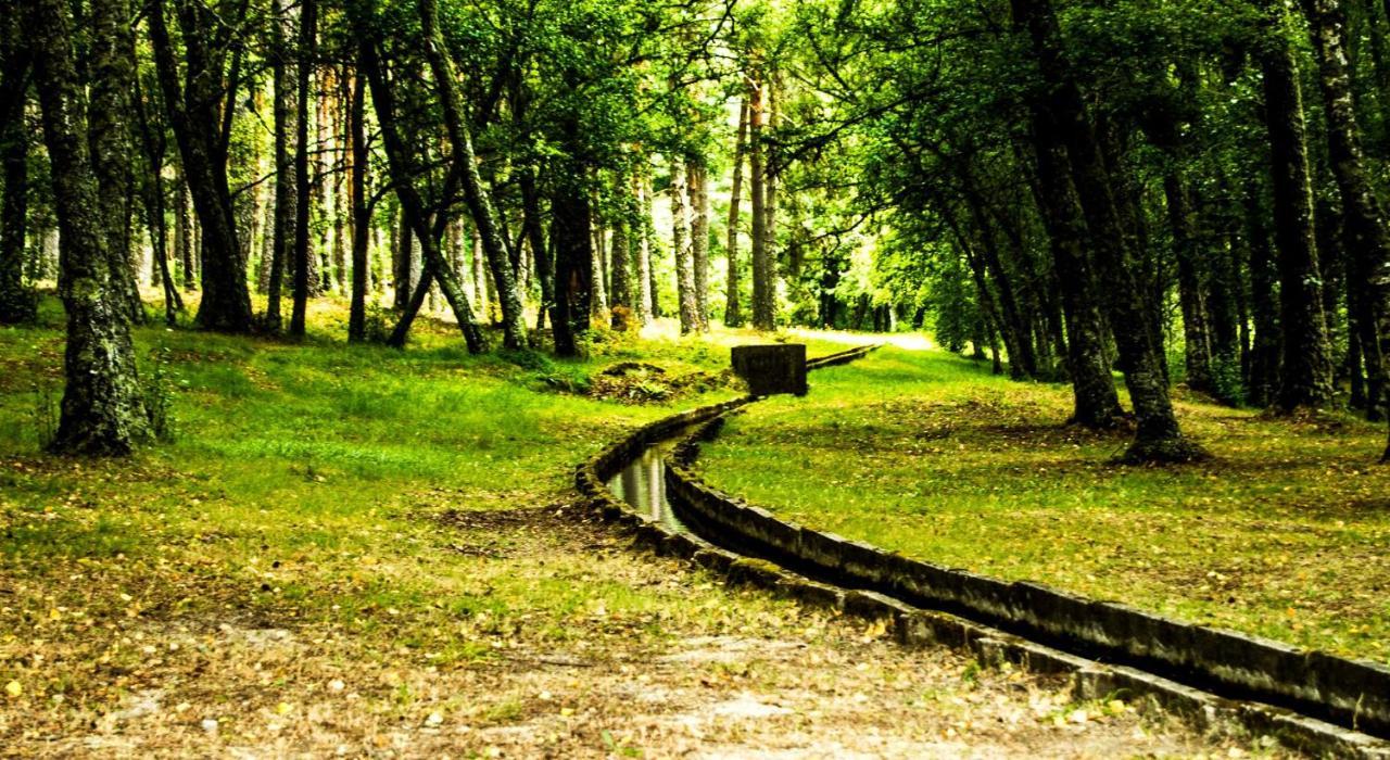 Boticas Parque Natur Houses ภายนอก รูปภาพ