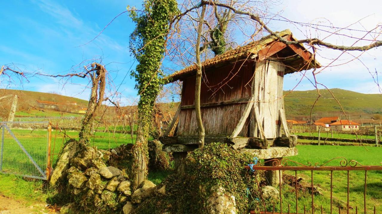 Boticas Parque Natur Houses ภายนอก รูปภาพ